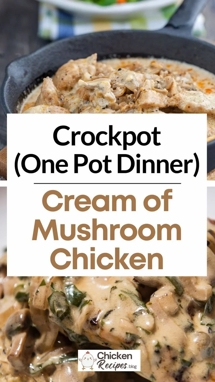 Crockpot Cream of Mushroom Chicken served in a bowl with rice and parsley